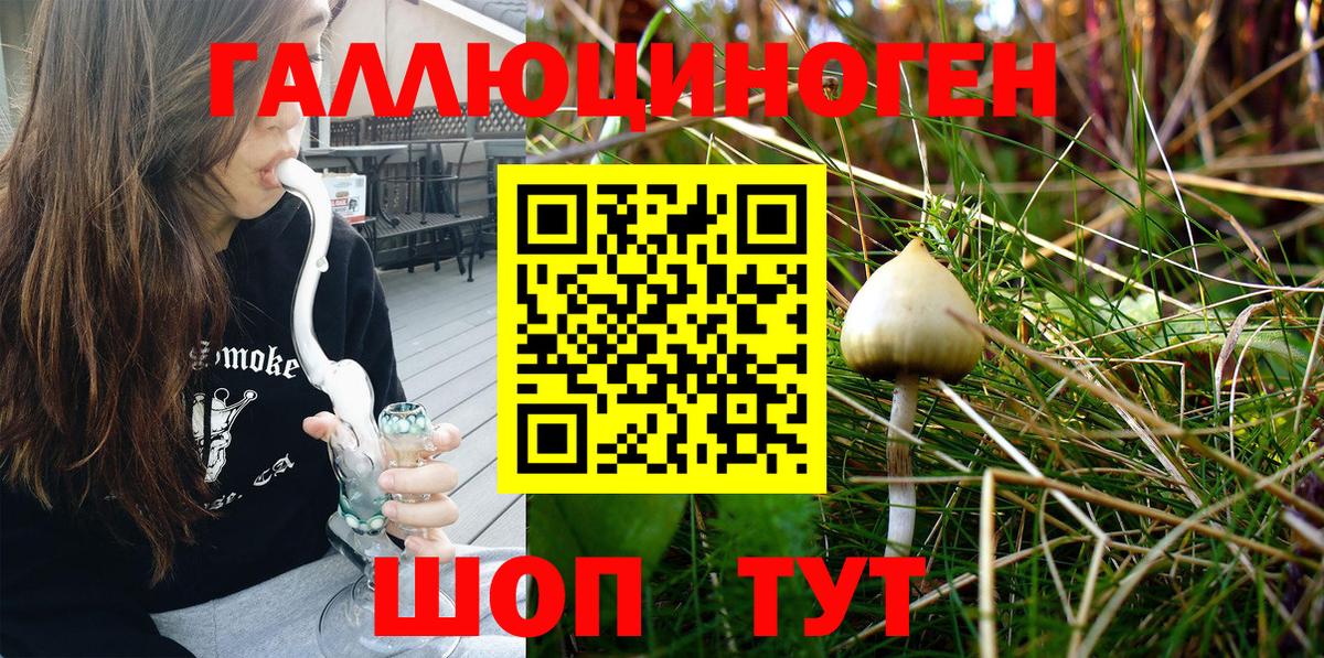 Псилоцибиновые грибы Magic Shrooms Кимры